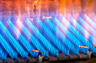 Brookvale gas fired boilers